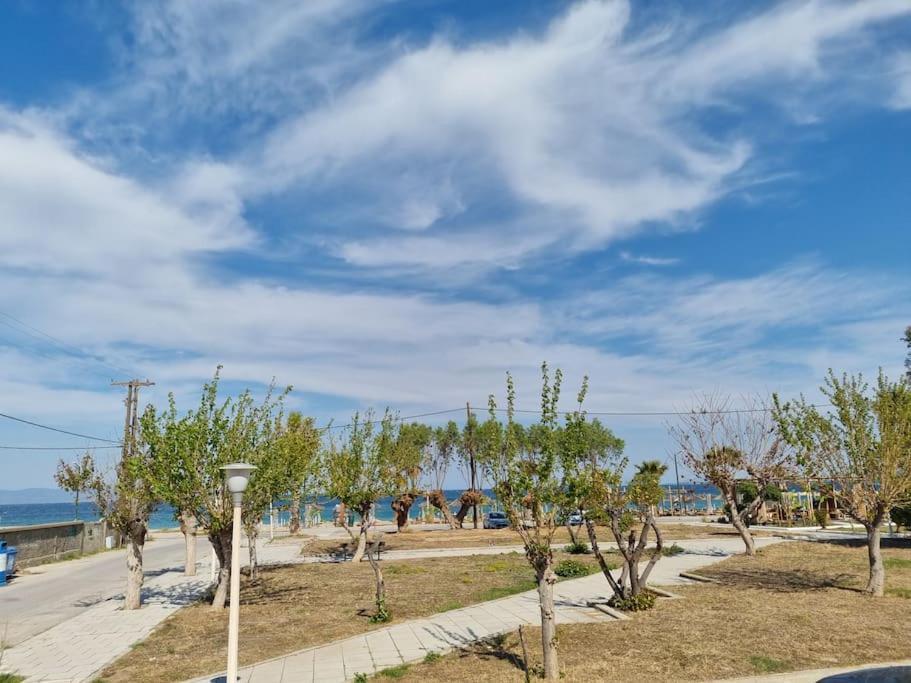 העיירה קוס Connie'S Beach House מראה חיצוני תמונה